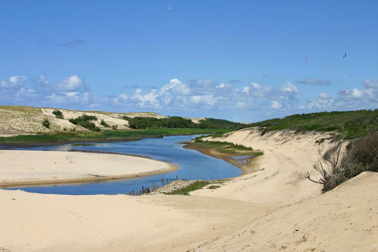 Le Hameau Des Vagues 4-5 Pers Piscines Et Nature A Moliets エクステリア 写真